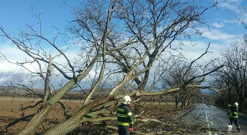 Károkat okozott az erős szél, 112 esetnél avatkoztak be a tűzoltók Kassa megyében