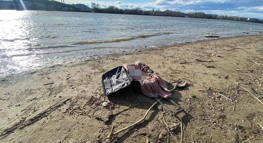 Bőröndben lévő kutyatetemet találtak a Duna partján
