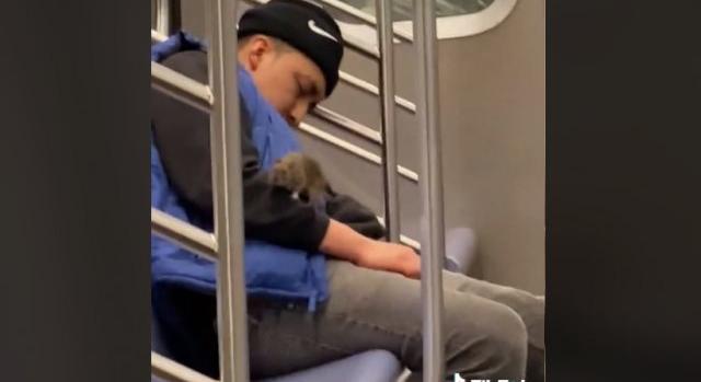 Videó: egy óriási patkány mászott egy férfi nyakába a metrón, aki nem zavartatta magát különösebben
