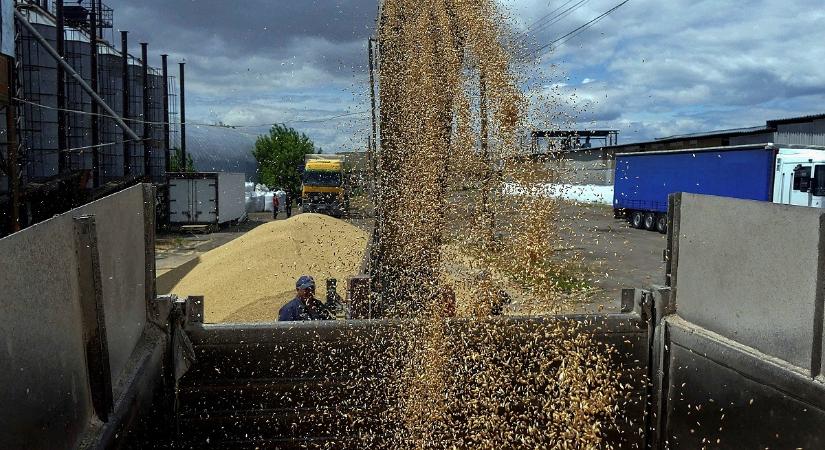 Egyre sürgetőbb probléma az ukrán gabona ügye