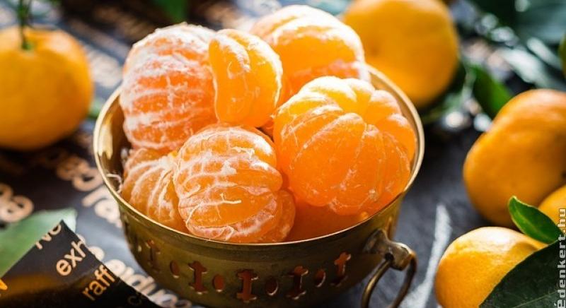 A mandarin gyógyhatása: felturbózza az immunrendszert