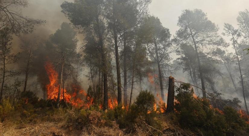 Több száz embert kellett evakuálni a tűz miatt Spanyolországban - képek