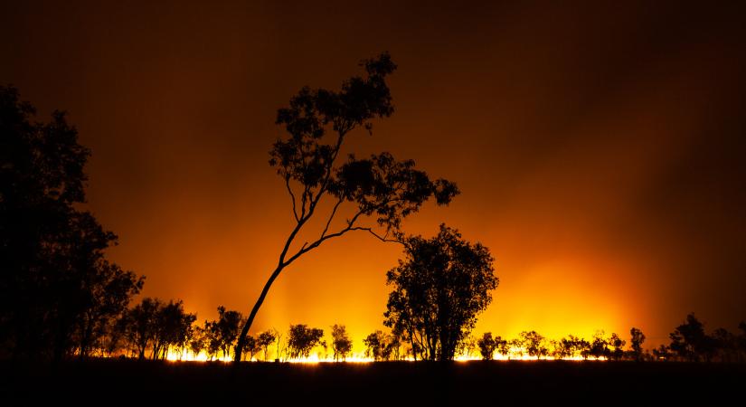 Környezeti katasztrófa pusztít Ausztráliában