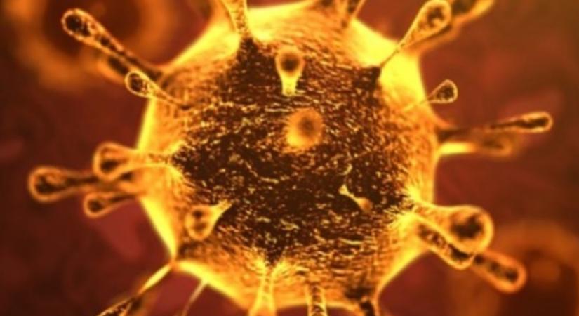 12 koronavírusos áldozat volt az elmúlt héten