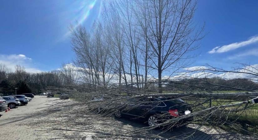 Kedden is akadt dolguk viharkároknál a vasi tűzoltóknak: sárvári hotel parkolójában dőltek ki fák