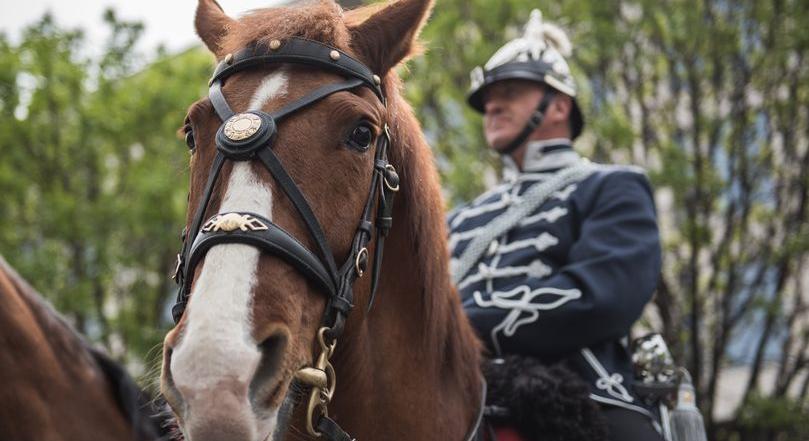 Lesz itt nyugalom: jönnek a lovasrendőrök a budai hegyekbe
