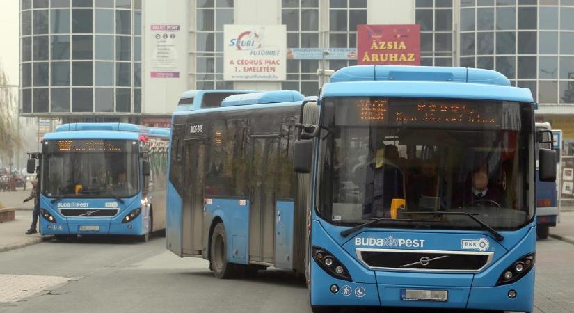 Félmillió nettót keres egy buszvezető a BKV-nál: most azonnal felvesznek vagy 70 embert