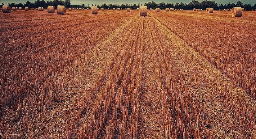 Újabb cég hagyja faképnél az orosz mezőgazdaságot