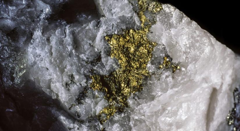 56 millió forintnyi aranyat talált egy férfi