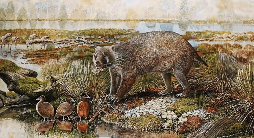 Új ősi erszényesfajokat fedeztek fel ausztrál paleontológusok