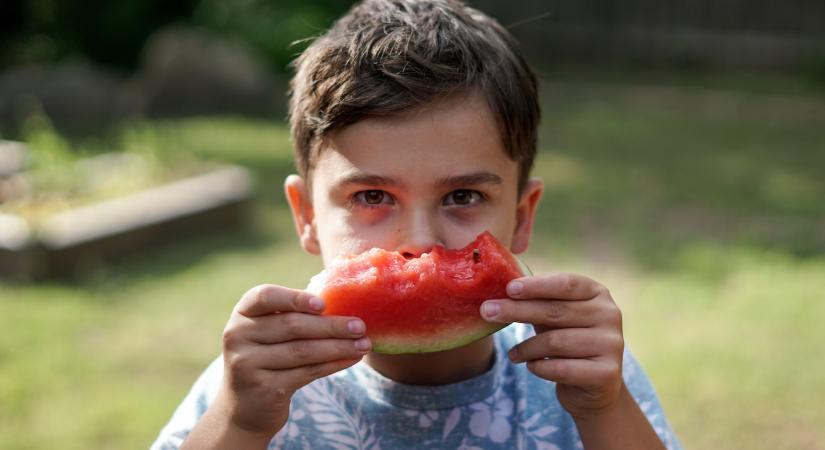 Fontos az alfa-generációs gyerekek szülei számára az élelmiszerek egészségessége