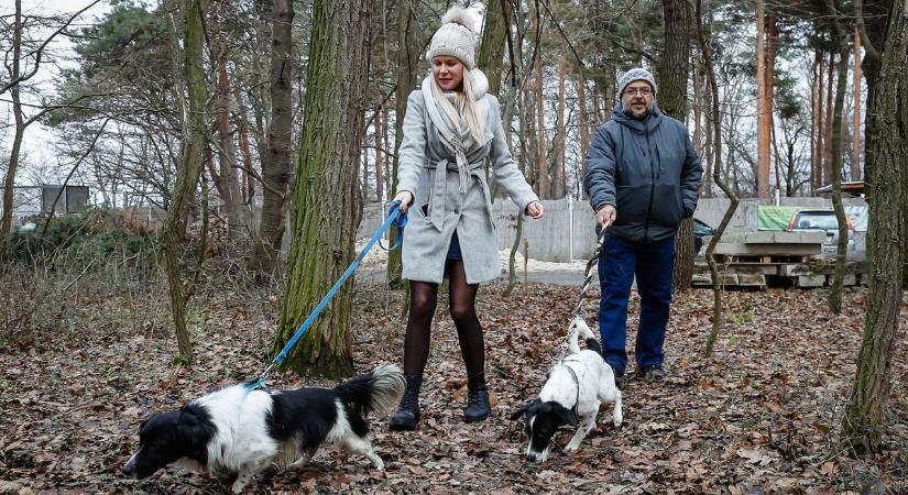A csákvári, a vértesboglári és a gánti tulajdonosoknak kell jelenteniük!