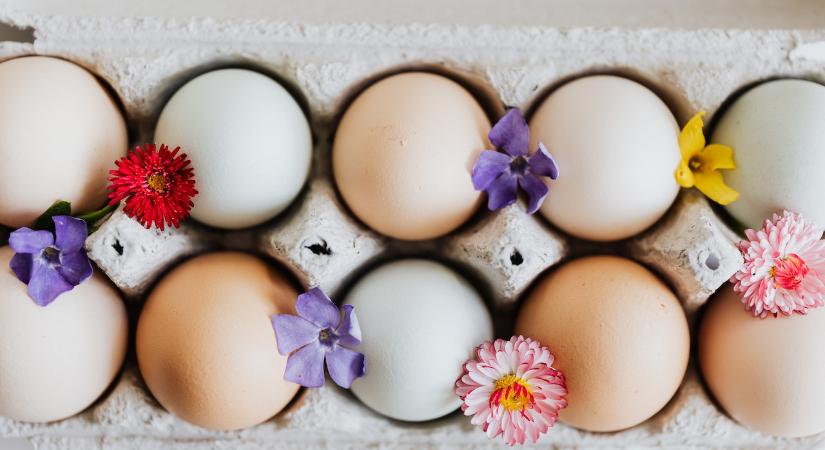 Tojástermelők szövetsége: nem lesz hiány tojásból a következő napokban sem