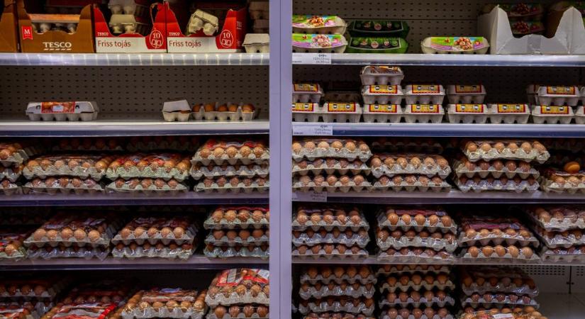 Nem lesz hiány tojásból, bár a húsvéti szükségletet még nem fedezi a hazai termelés