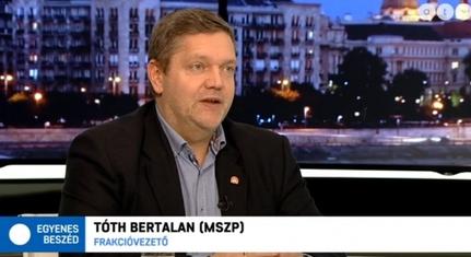 Tóth Bertalan: a Fidesz külpolitikai játszmája rontja Magyarország megítélését