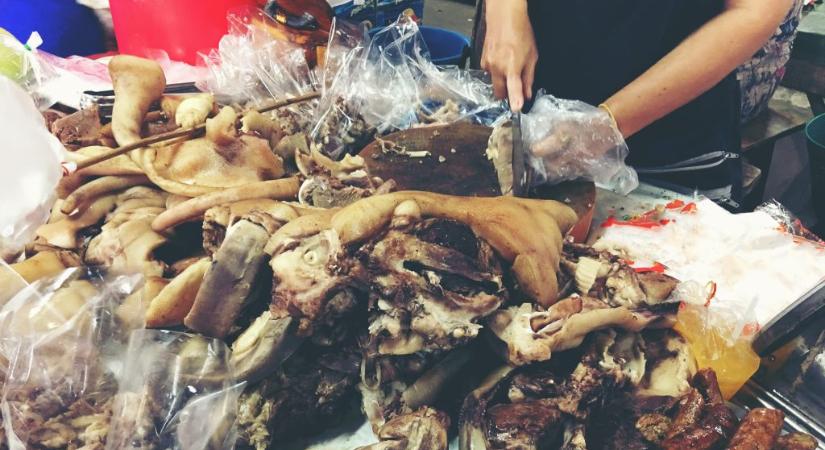 Közmunkára ítélték a hentest, aki 27 embert betegített meg a szalmonellás hústermékeivel Szegeden