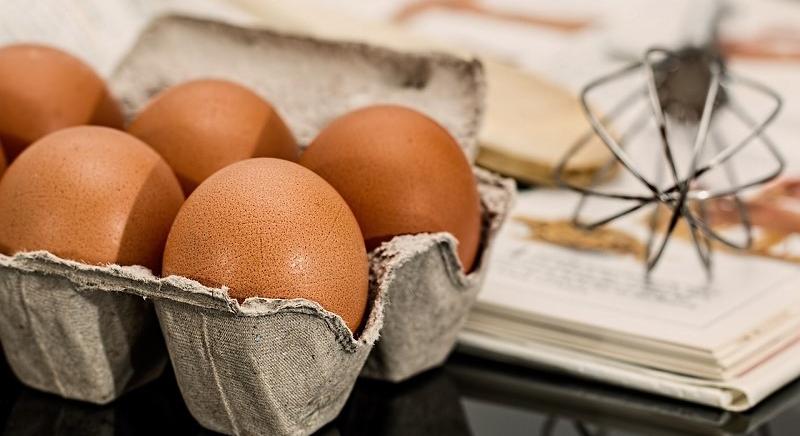 Tojástermelők szövetsége: a következő napokban sem lesz hiány tojásból