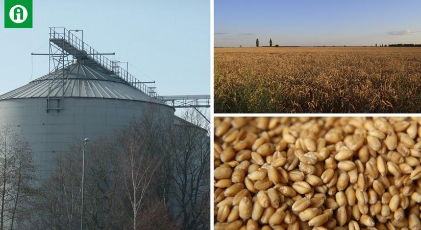 A gabonaválság rendezése érdekében összefognak Ukrajna szomszédai