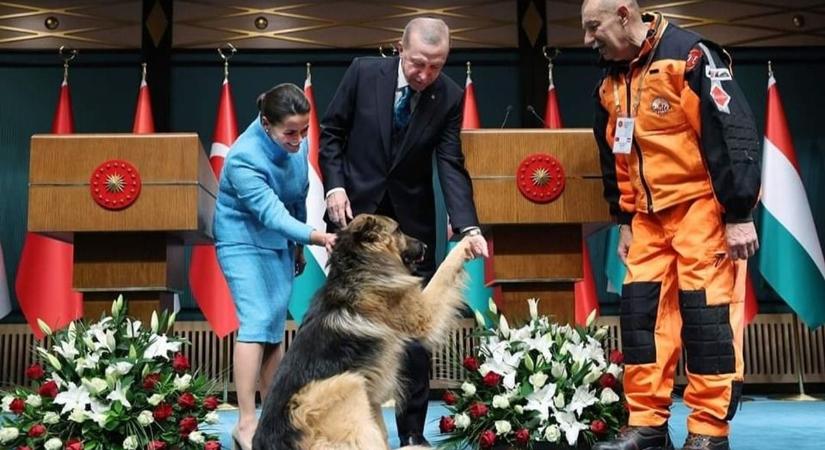 Pacsit adott a miskolci kutya a török elnöknek