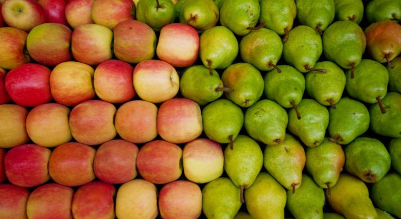 Itt a friss előrejelzés: fontos jelentés látott napvilágot az almáról és a körtéről