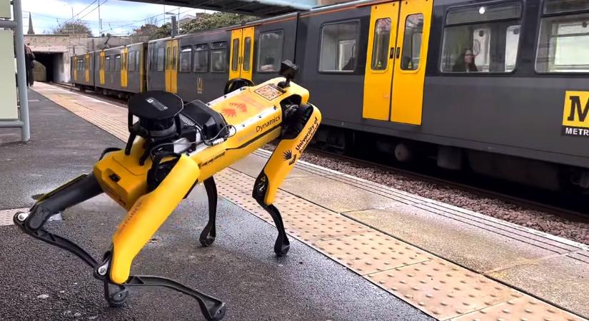 Robotkutya utazott a metrón – Hova jutott a robottechnológia?