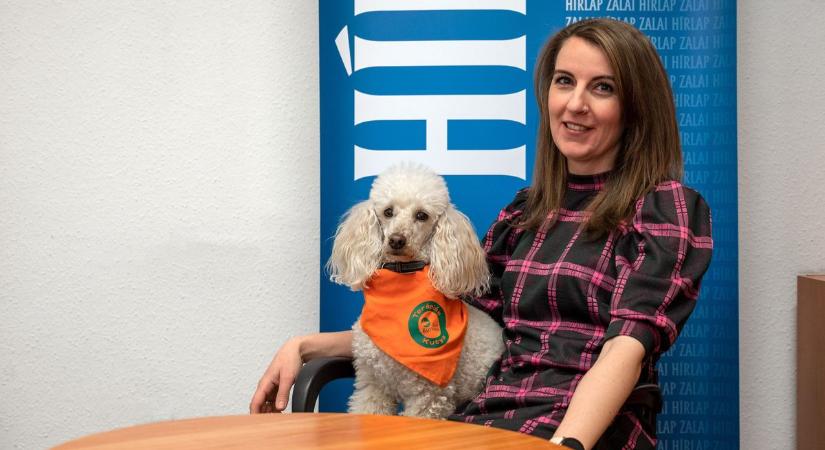 Kutyakiképzés és állatasszisztált foglalkozások – Tolnai Tímea a Zaol-podcast vendége