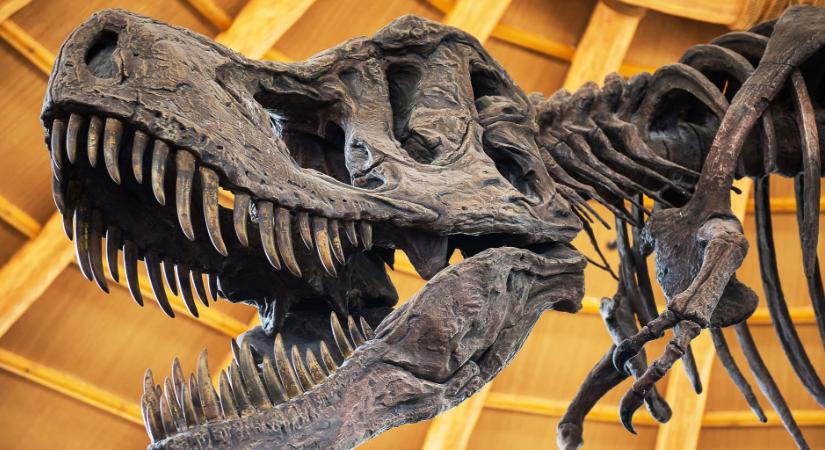 Ijesztő méretű méretű szörnyeteg volt a valaha élt legnagyobb dinoszaurusz