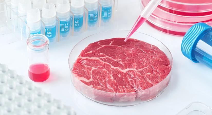Olaszország nem szeretne laboratóriumban termesztett húst látni