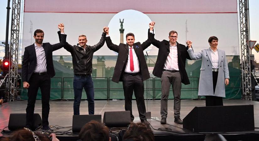 Túlkínálat van pártokból a baloldalon, eltűnhetnek a 2024-es EP-választáson