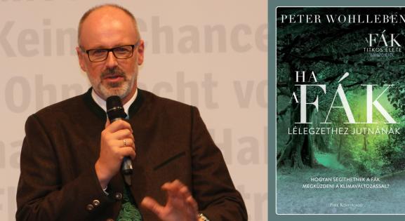 Peter Wohlleben elmagyarázza, hogyan erősödik meg az erdő, ha békén hagyjuk
