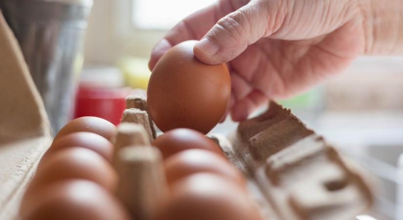 Meglepő dolog derült ki a magyar tojásról: lesz simét ellátási pánik Magyarországon?