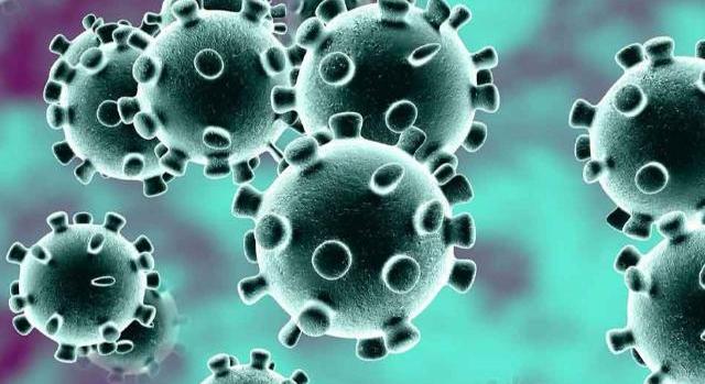 Koronavírus, szombati adatok: csaknem 2000 új fertőzött és 38 halott