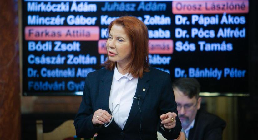 Apukám, a dumát már nem lehet eladni – üzeni Mirkóczkinak a frakcióvezető