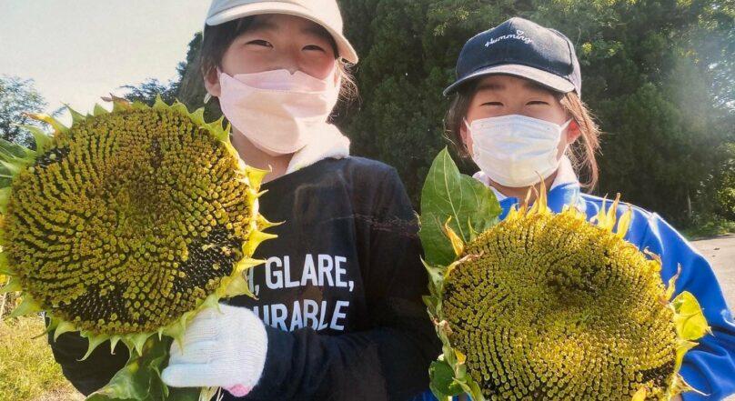 Japán iskolások gyűjtöttek Ukrajnának