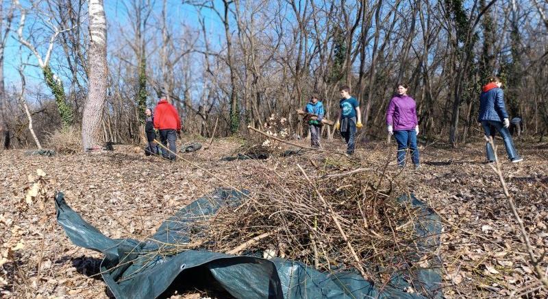 Beszámoló Homoktövis Természetvédelmi Területen végzett élőhelyekezelésről