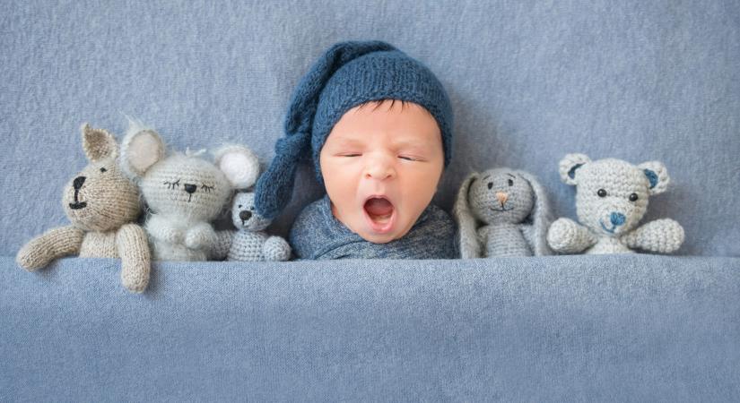 Gólyahír – újabb csöppségekkel gazdagodtunk