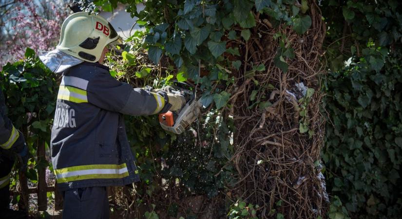 Hasadtak a faágat, égett egy födém, ráadásul egy erkélyről a vakolat is omlott