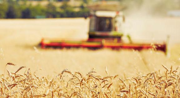 A kelet-európai uniós országok az ukrán agrárimport miatt aggódnak