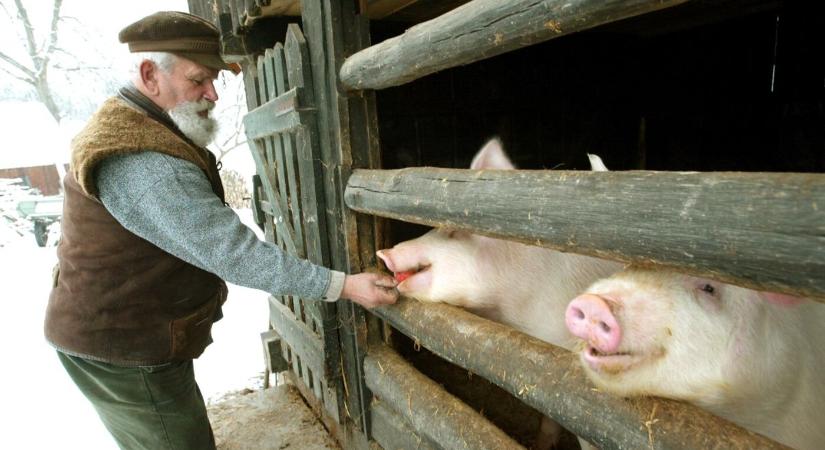 Abszurd és teljesíthetetlen rendelettel nehezíti meg az állattartók életét a minisztérium