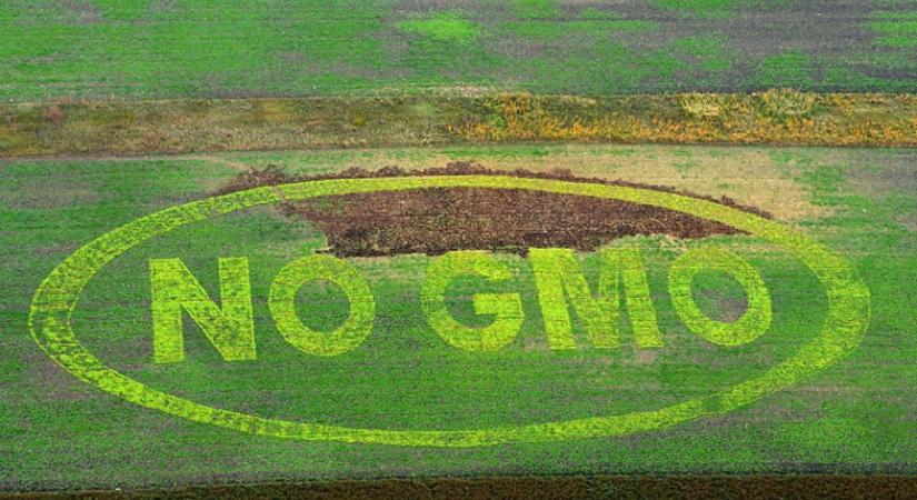 Zöld utat kapott a genetikai változtatás: Angliában már a boltok polcaira kerülhetnek egyes génszerkesztett termékek