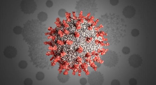 Koronavírus Magyarországon: 2316 új fertőzött, elhunyt 47 krónikus beteg