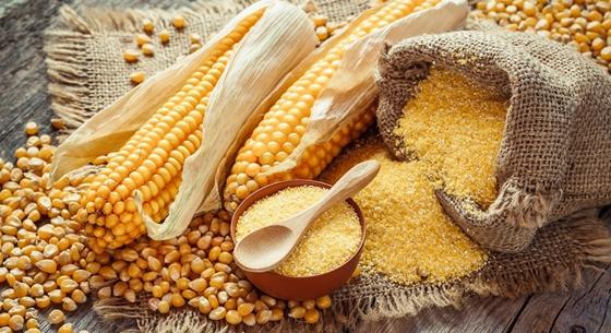 Több tonnányi ukrán kukoricát vont ki a forgalomból az Agrárminisztérium