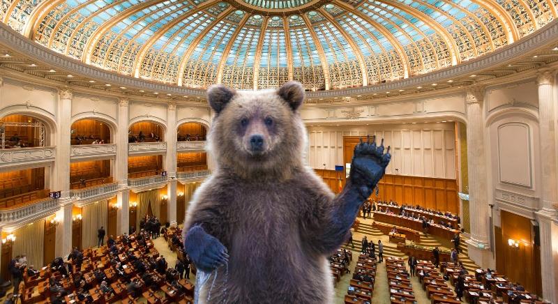 Hírmix: zajlik a btk-módosítás körüli parlamenti csörte, rossz hírt kaptak a medvék, késsel támadt egy diák