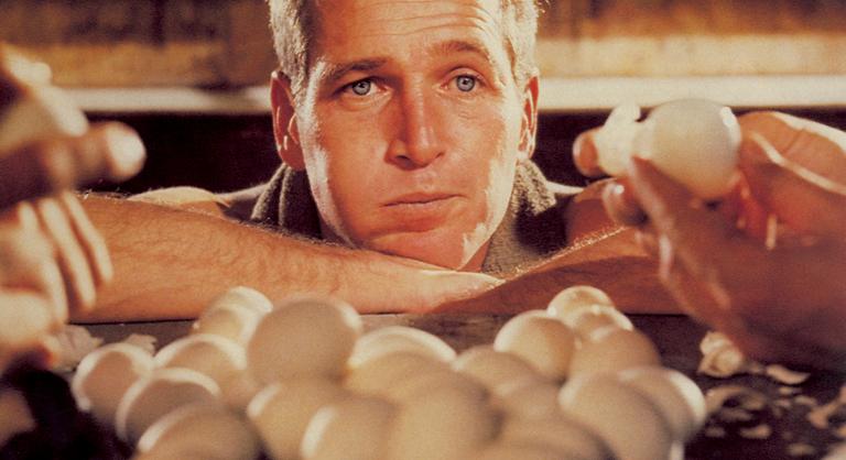 Megevett-e fogadásból ötven tojást Paul Newman?