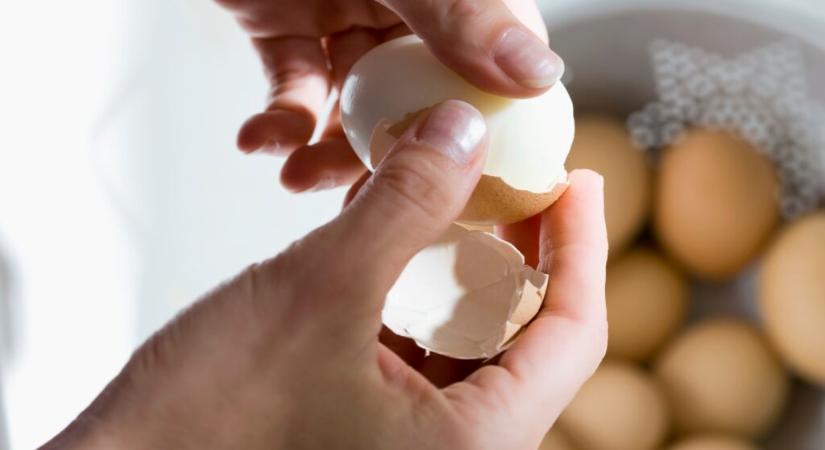 Így használd fel a maradék főtt tojást, hogy ne legyen unalmas