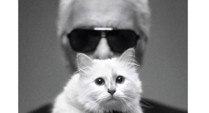 A Vogue modellje lett Karl Lagerfeld milliárdokat öröklő macskája