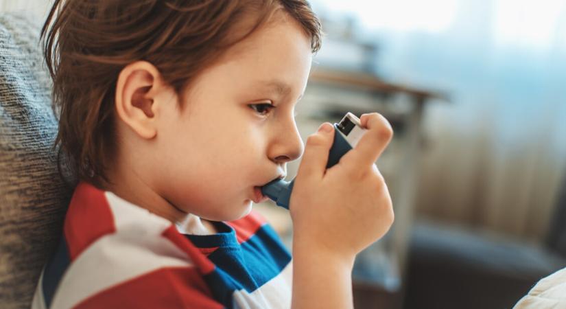 Rossz hírt közöltek a gyermekkori asztma kutatói