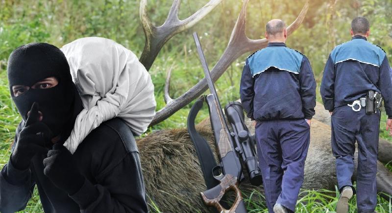 Orvvadászokra vadászó egyenruhások, sofőr nélkül maradt kisbusz, rendőrt akart kirabolni egy fenesi fiatal