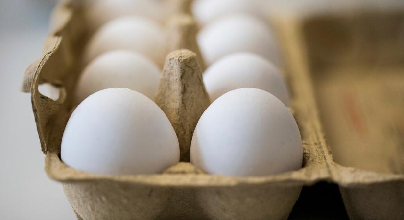 A legnagyobb mértékben dráguló élelmiszerek közé tartozik a tojás