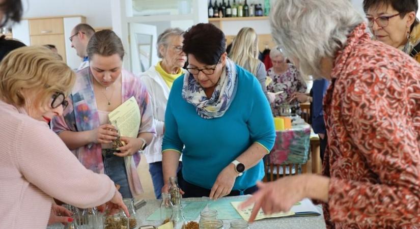 Gyógynövény workshop Binder Grete vezetésével az alsóőri klubházban - fotók